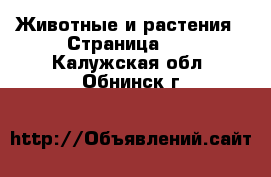 Животные и растения - Страница 12 . Калужская обл.,Обнинск г.